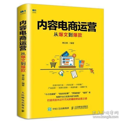 内容电商运营 从爆文到爆款的实战指南